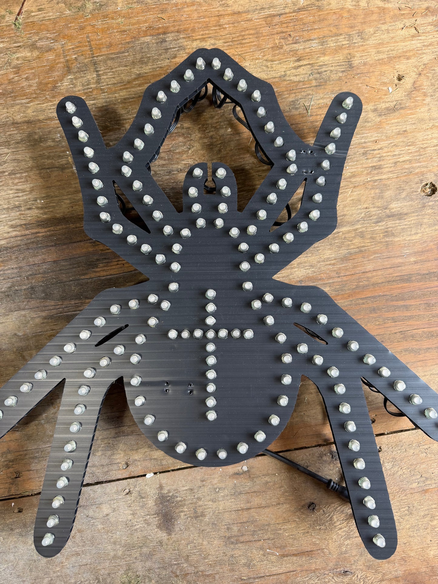 Coro Props Spiders and Bats with 800 pixels